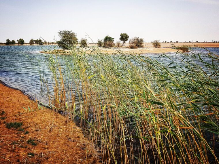 Al Qudra Lakes