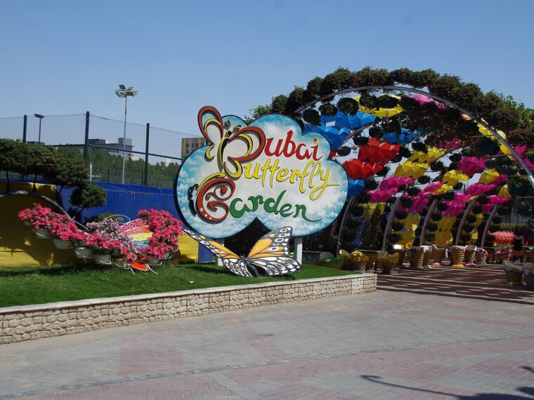 Dubai Butterfly Garden