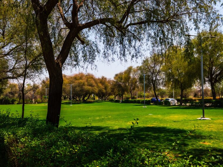 Mushrif Park